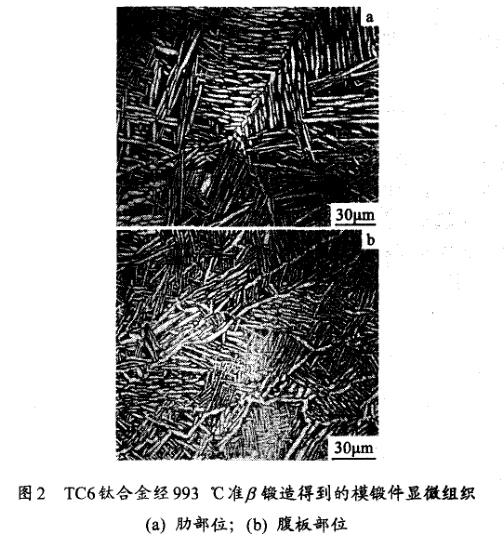 TC6鈦合金經993 ℃準鍛造得到的模鍛件顯微組織(a) 肋部位；(b) 腹板部位