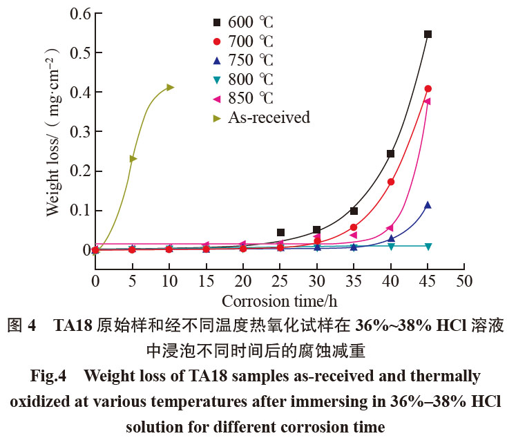 1681544926593222.jpg t4.jpg