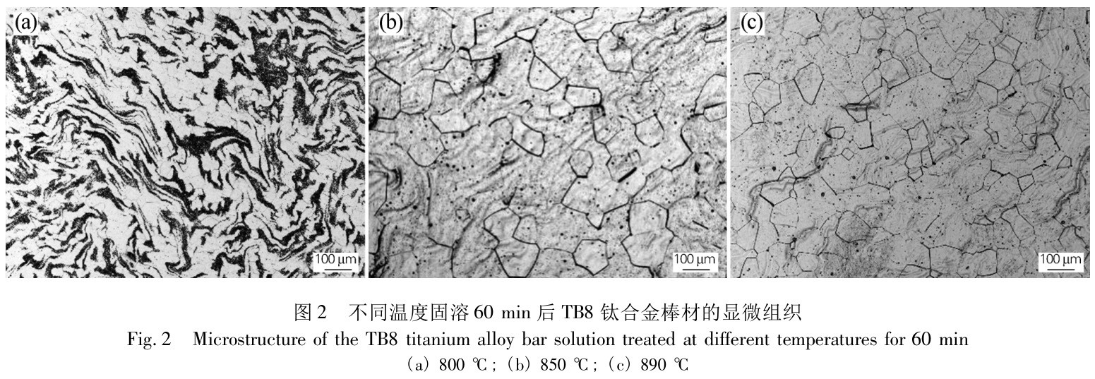 1733646233699354.jpg t2.jpg