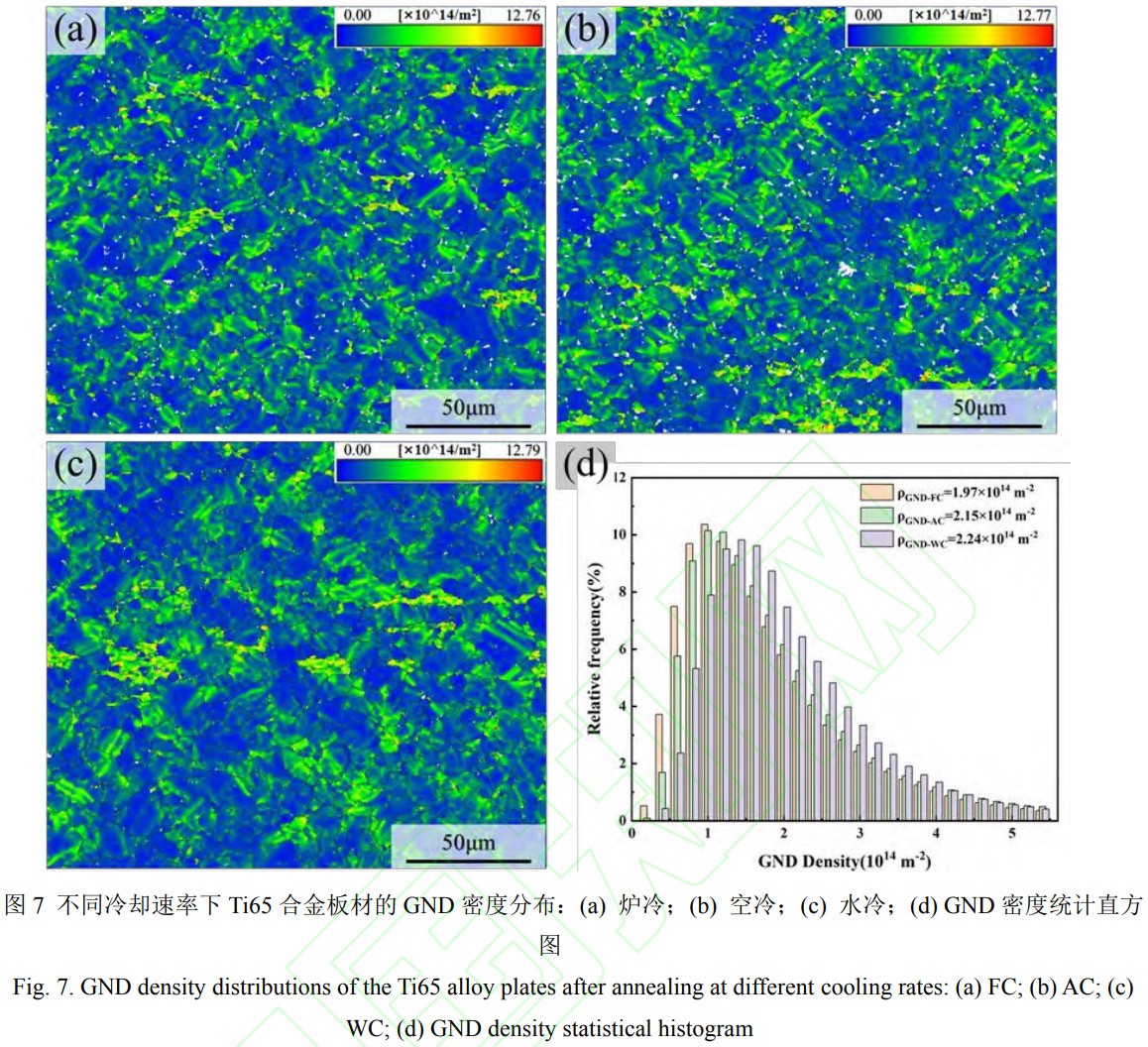 1769330609313244.jpg 7.jpg