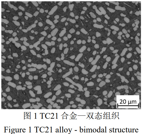 1775565627120780.jpg 1.jpg