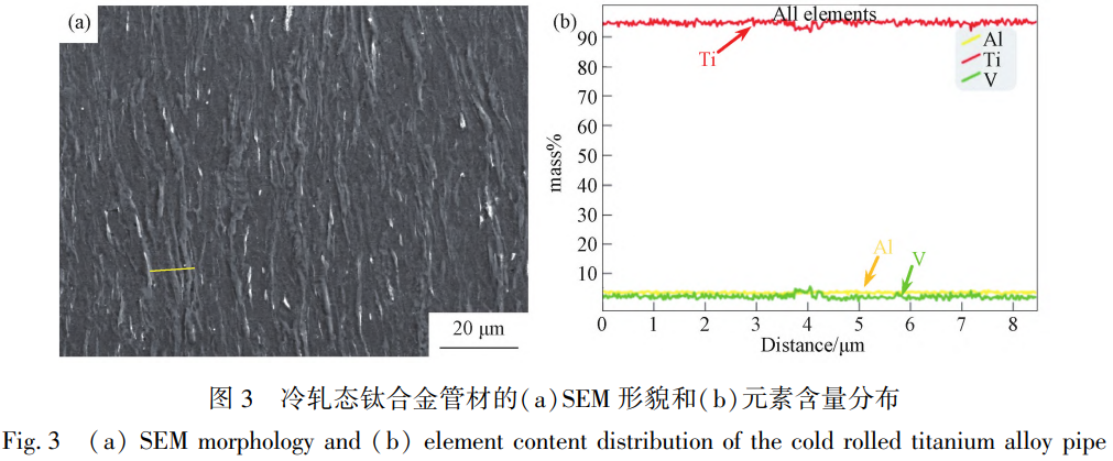 1775698439196301.png 3.png