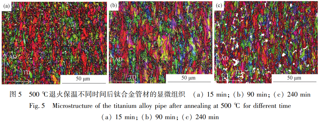 1775698455852311.png 5.png