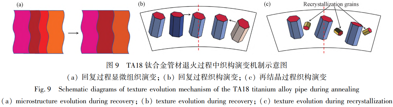 1775698491411839.png 9.png