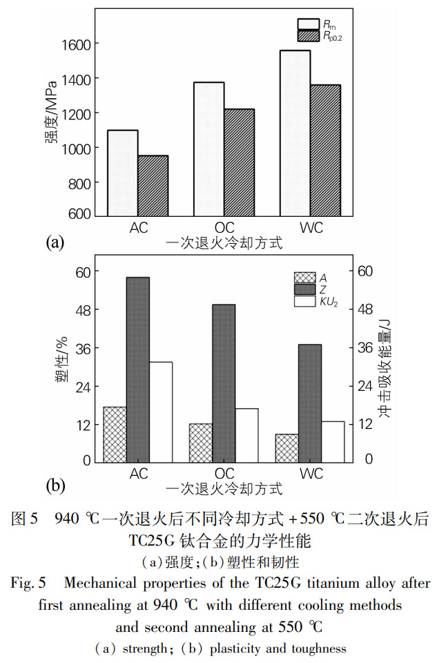 1776041841388458.jpg 5.jpg