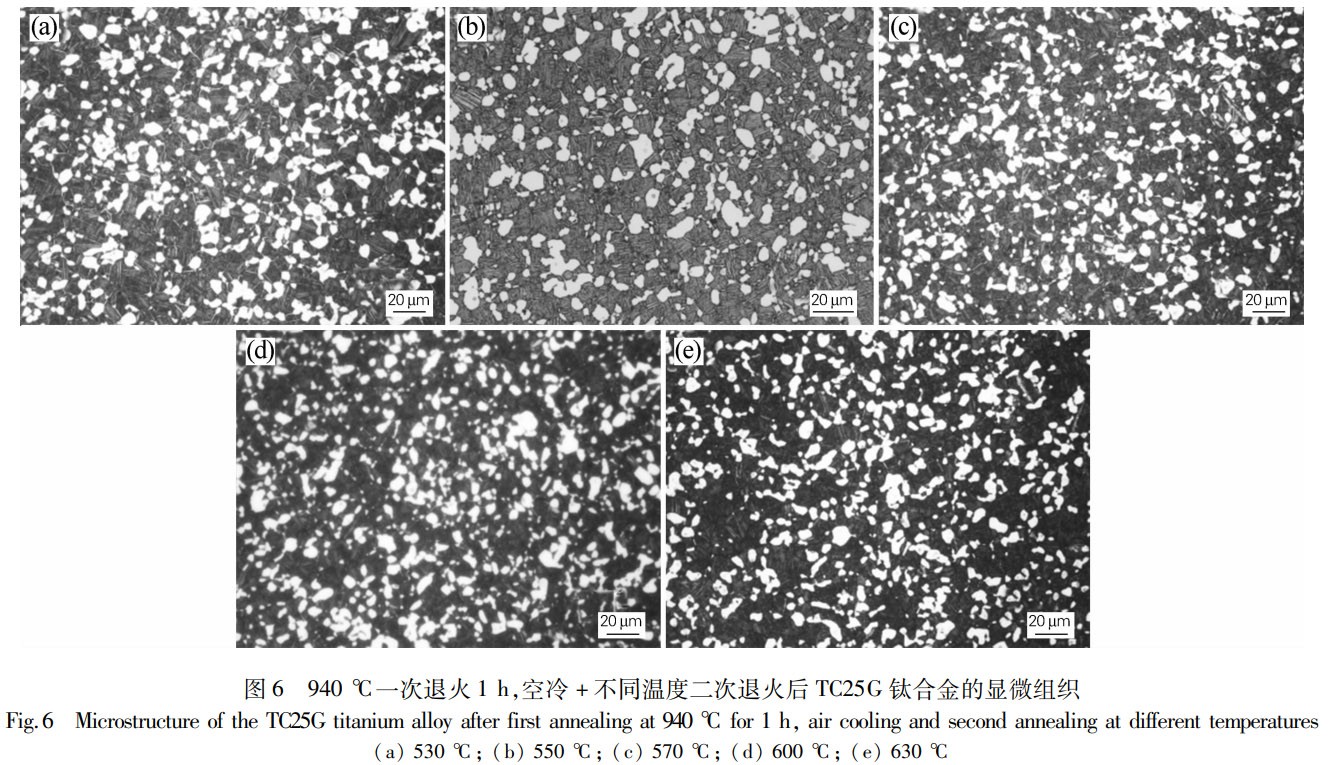 1776041857800964.jpg 6.jpg